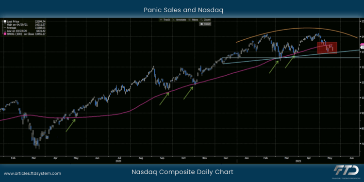 Panic Sales and Nasdaq