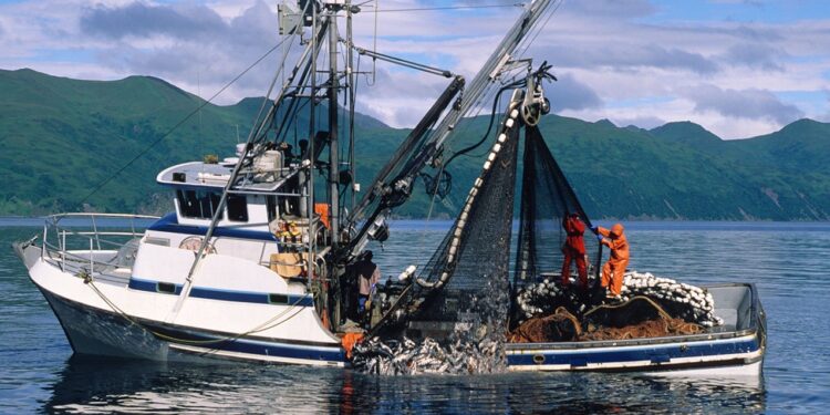 The UK Risked Further Souring relations with France