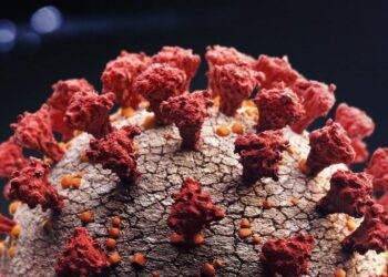 Worldwide record at daily cases