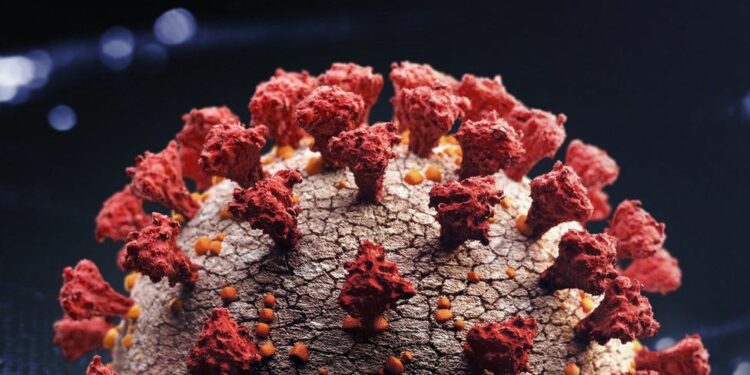 Worldwide record at daily cases