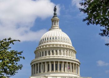 House of Representatives prepares to vote Biden's economic plan