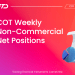 COT Weekly Non-Commercial Net Positions